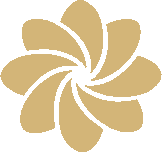 Konrad Legal emblem